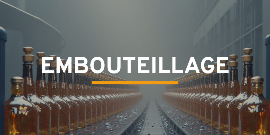 Logos Site Web SV 12